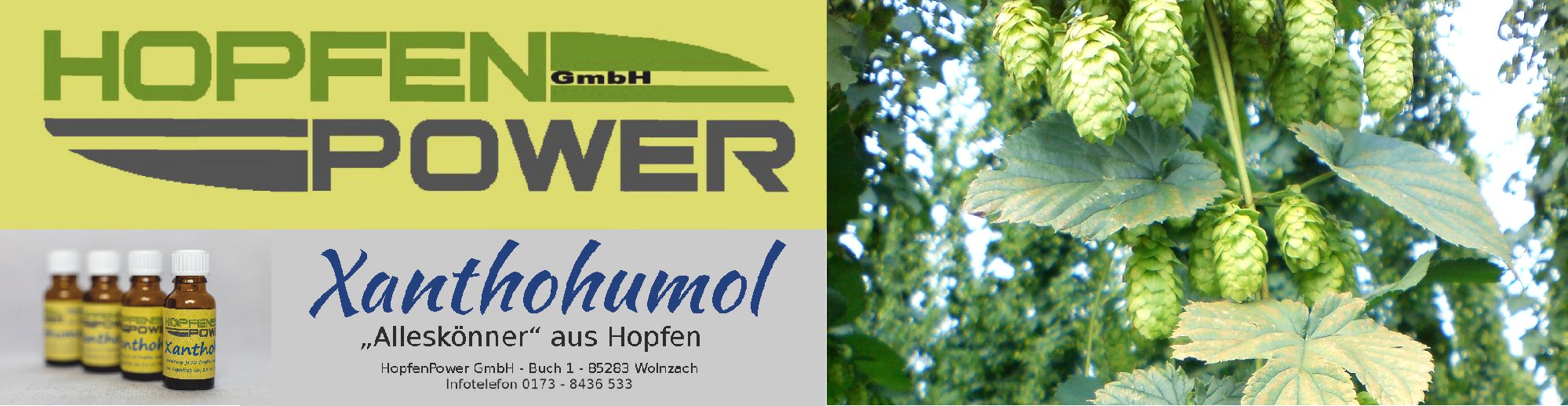 HopfenPower in Wolnzach